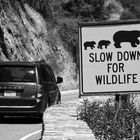 Slow down