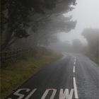 slow down