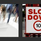 Slow Down, Auckland, New Zealand