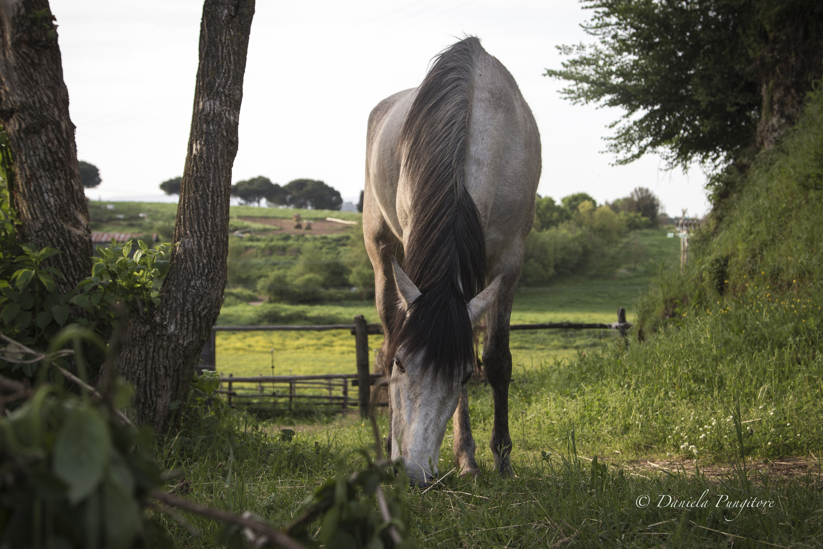 Slow Time at "Equin'Ozio"{