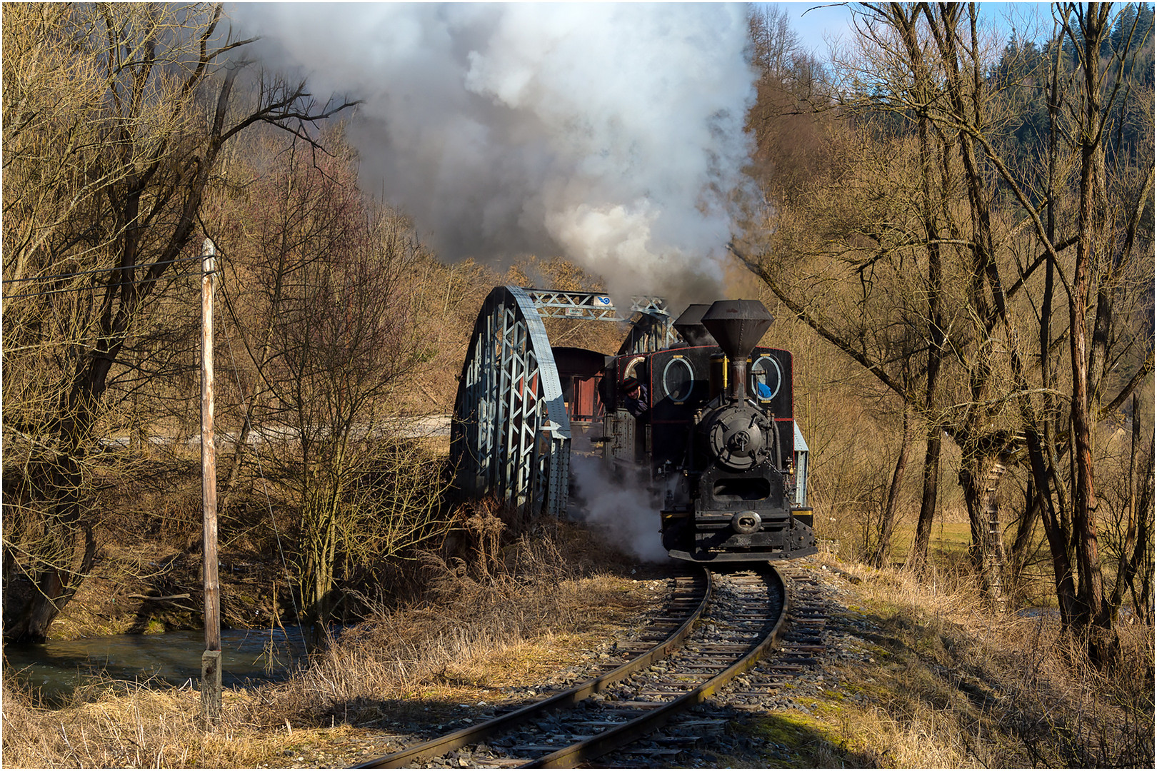 Slowakischer Waldbahn-Spätwinter