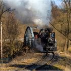 Slowakischer Waldbahn-Spätwinter