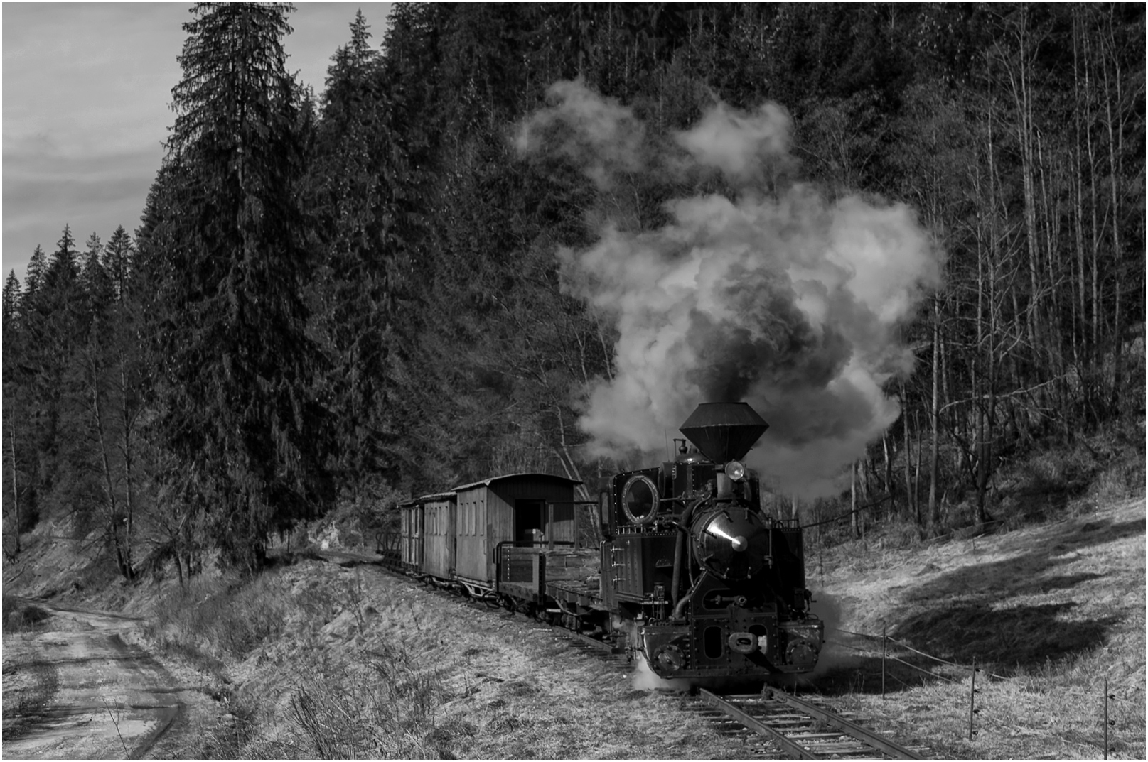 Slowakischer Waldbahn-Spätwinter V