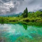 Slowenien "Landschaftsschutzgebiet Zelenci" 
