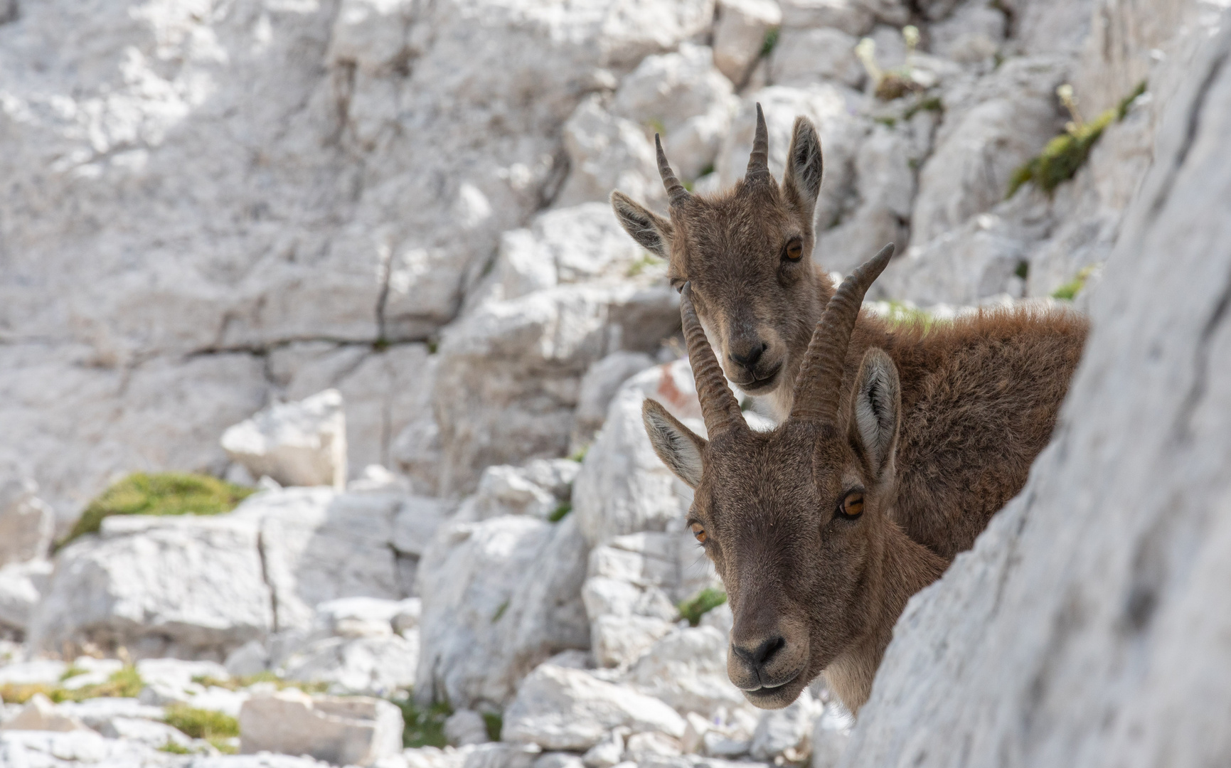 Slowenien Triglav und Soca