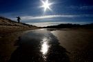  Nordsee - Insel Texel 