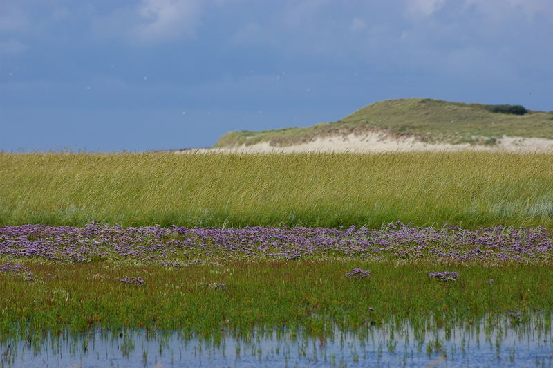 Slufter Texel Holland