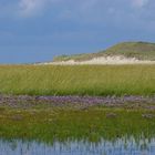 Slufter Texel Holland