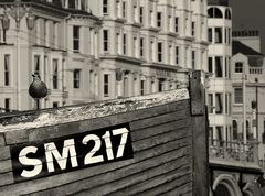 SM217