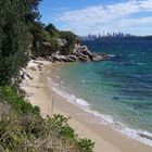 Small beach in Sydney area