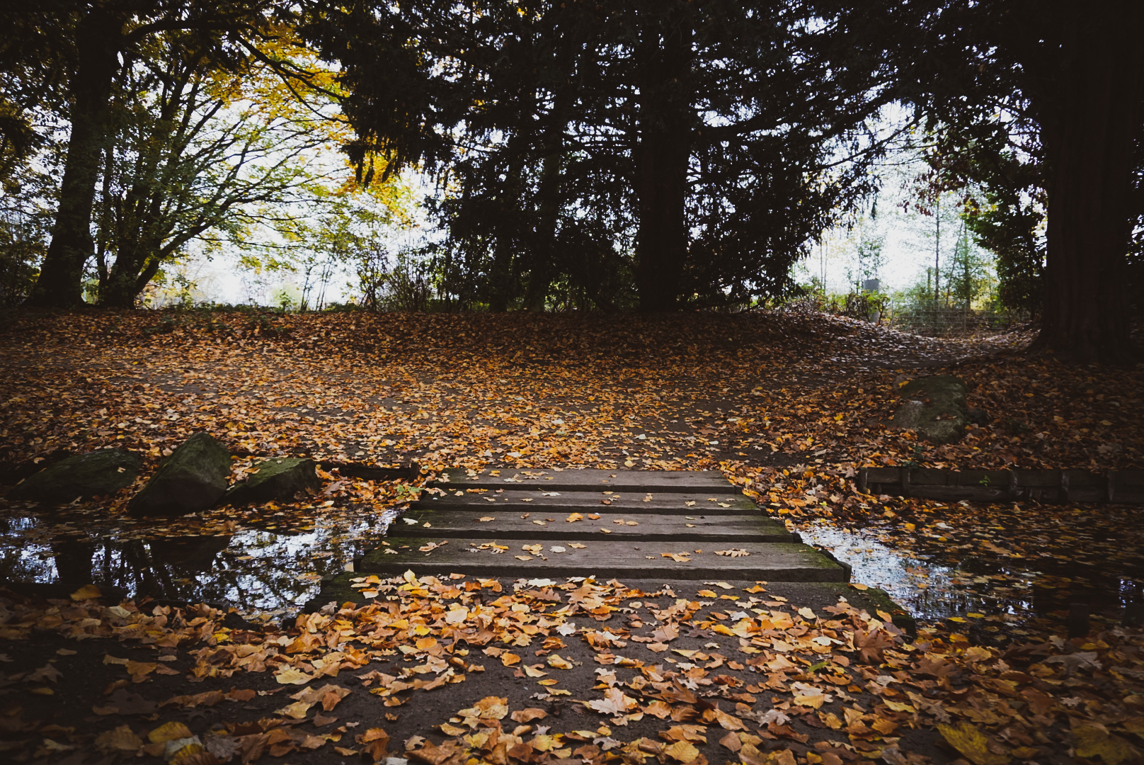 Small Bridge 