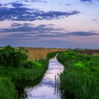 Small canal in the plain