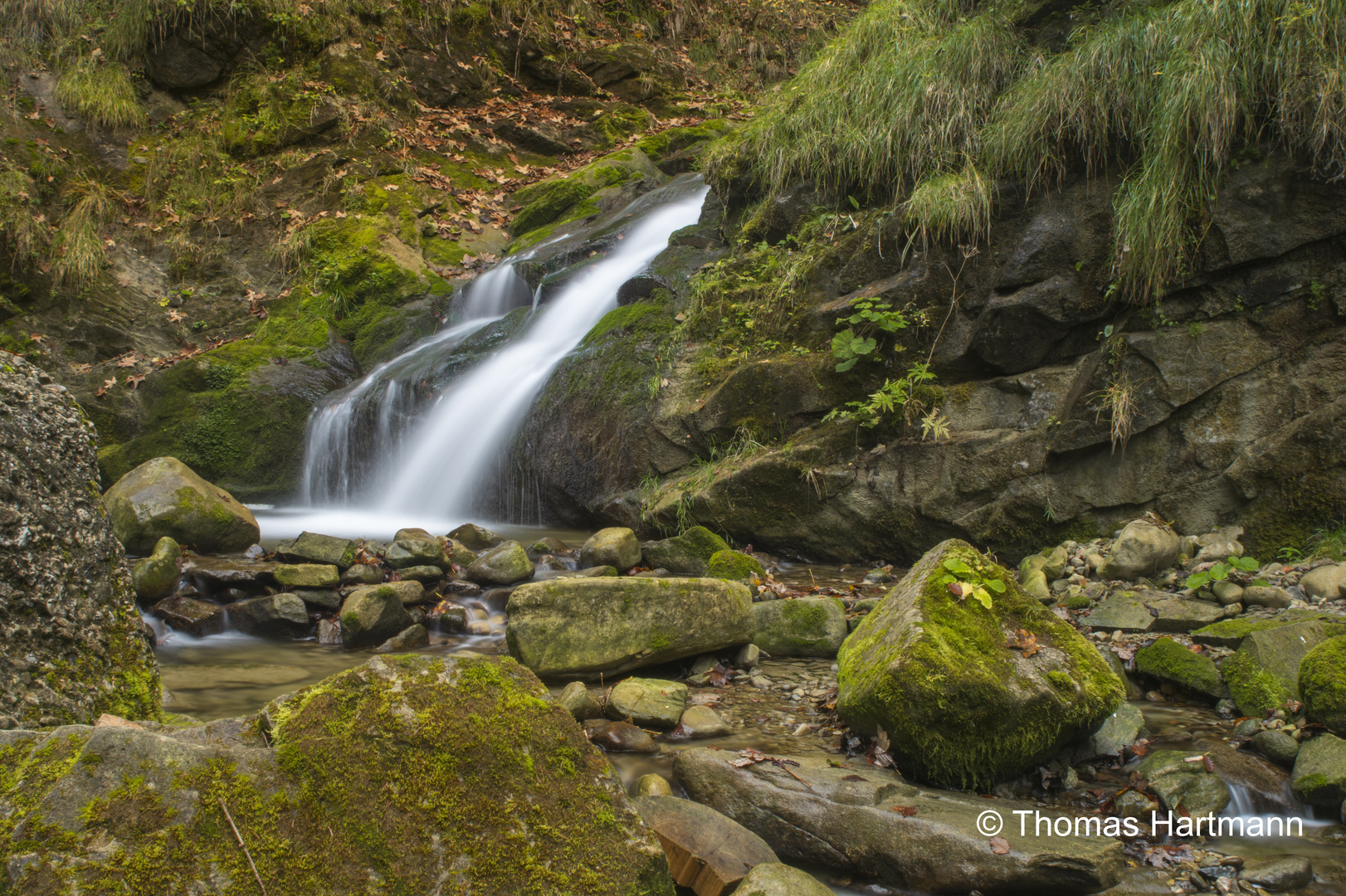 Small cascade