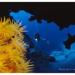 Small Cavern Bonaire, Dutch Caribbean - Doppelbelichtung / Diascan