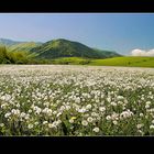 Small Fatra - Slovakia