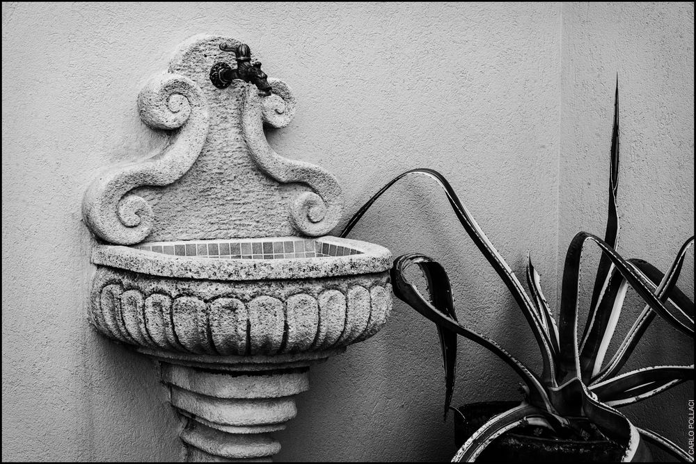 small fountain and agave