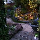 small garden, evening