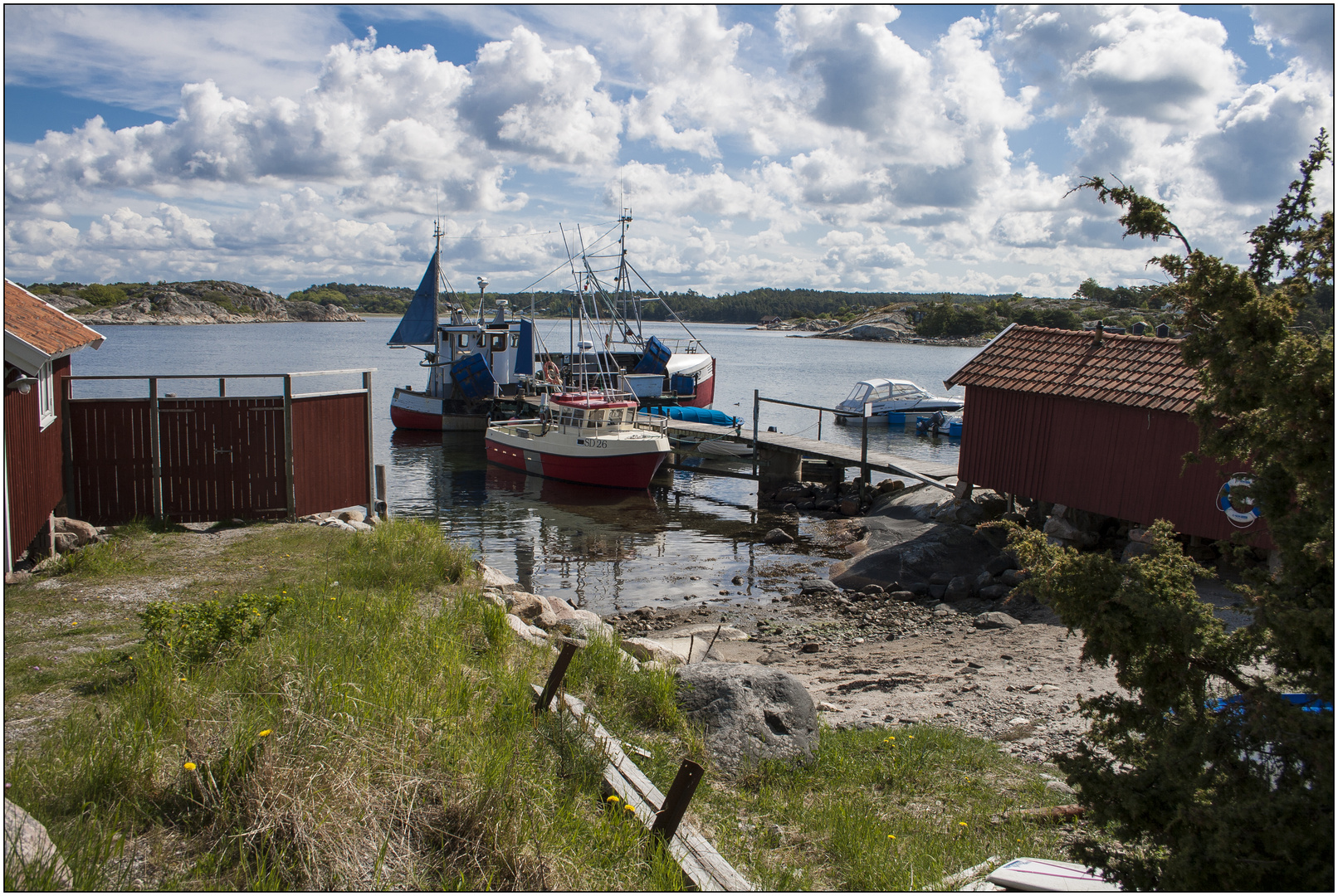 Small harbor in Norway.