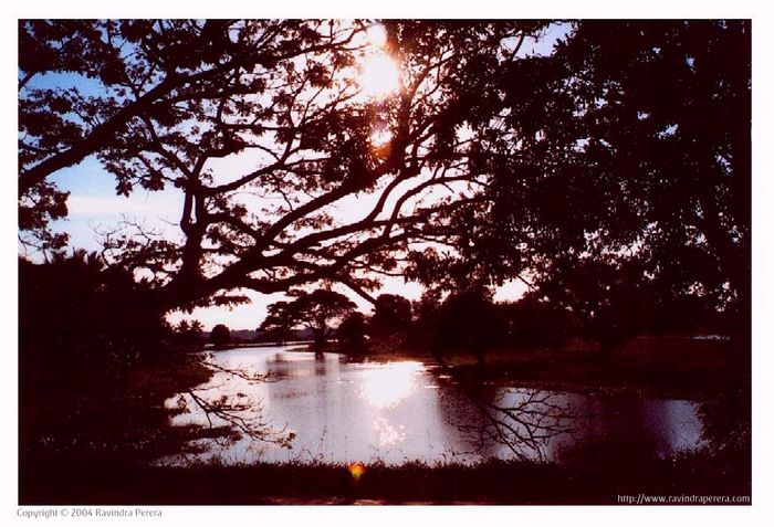 Small lake in Anuradhapura, Sri Lanka