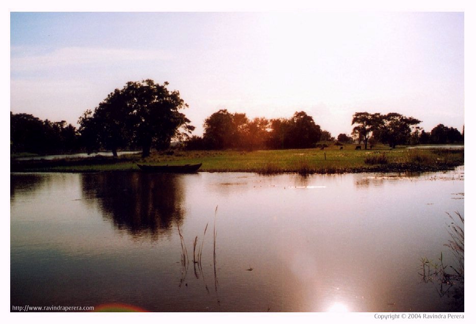 Small lake in Anuradhapura, Sri Lanka
