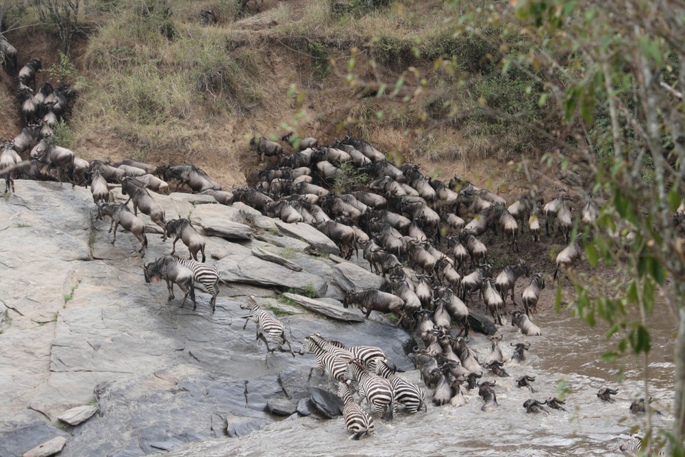 Small migration