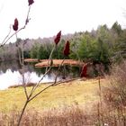 Small pond in Rock Hill NY Konica-Minolta digital