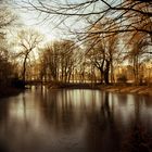 Small Pond / Kleiner Teich