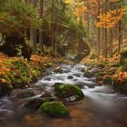 Small river in autumn colors