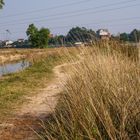 Small road on the bank of the ditch