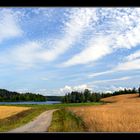 Small roads of Finland