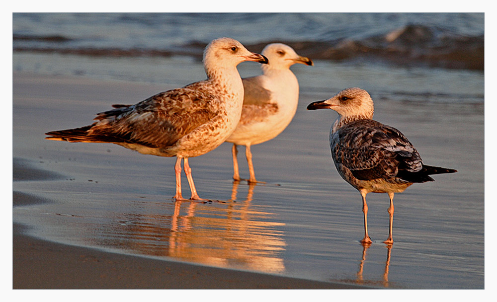 Small talk am Strand