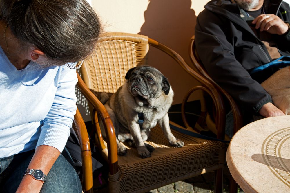 small talk im Cafe