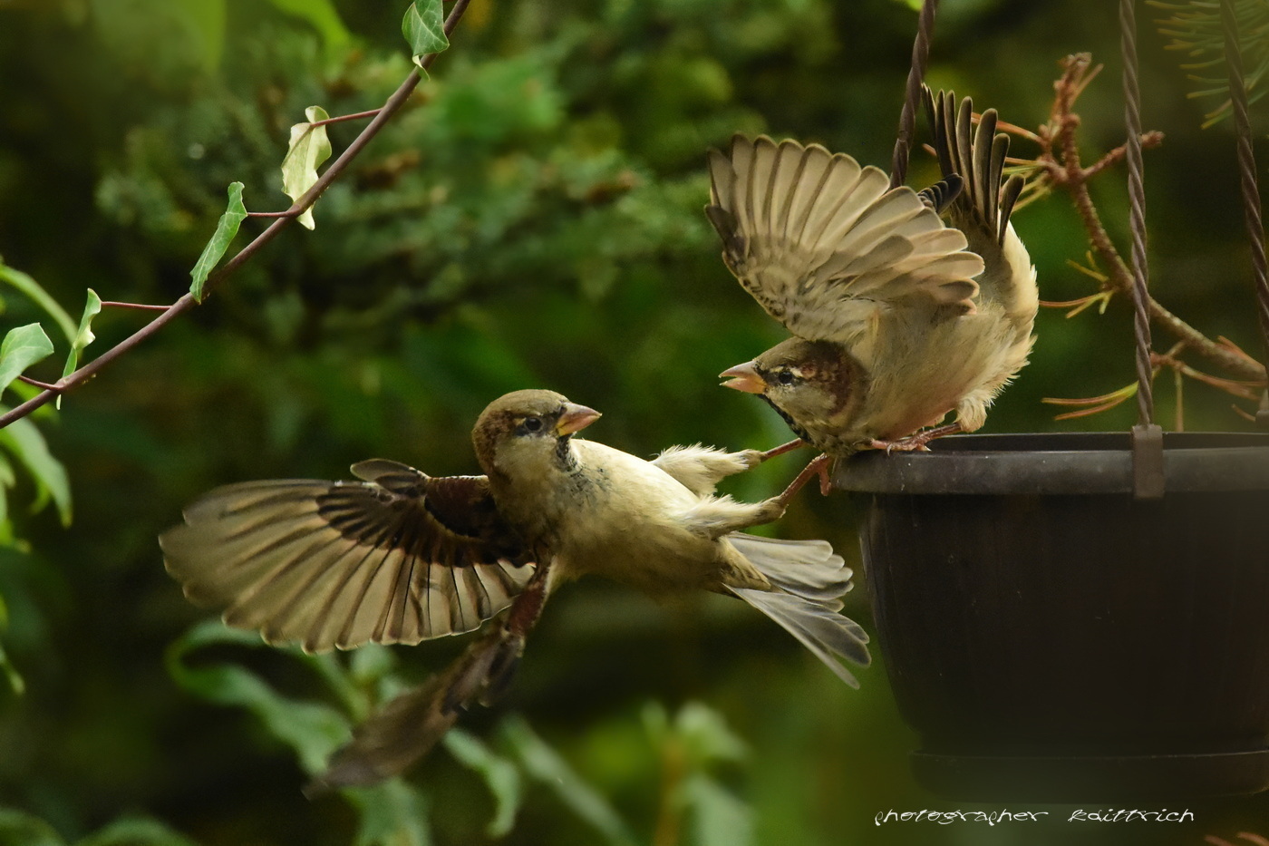 Small Talk? Sicher nicht......