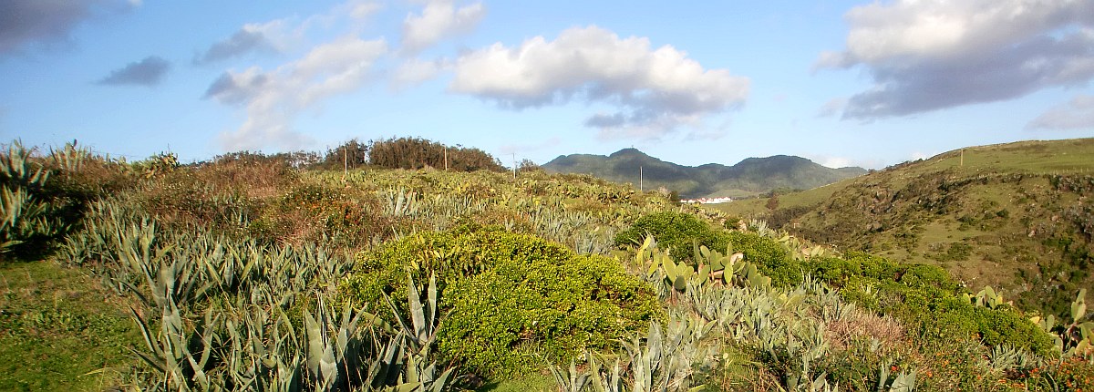 small town, Azores, November 9, 2011