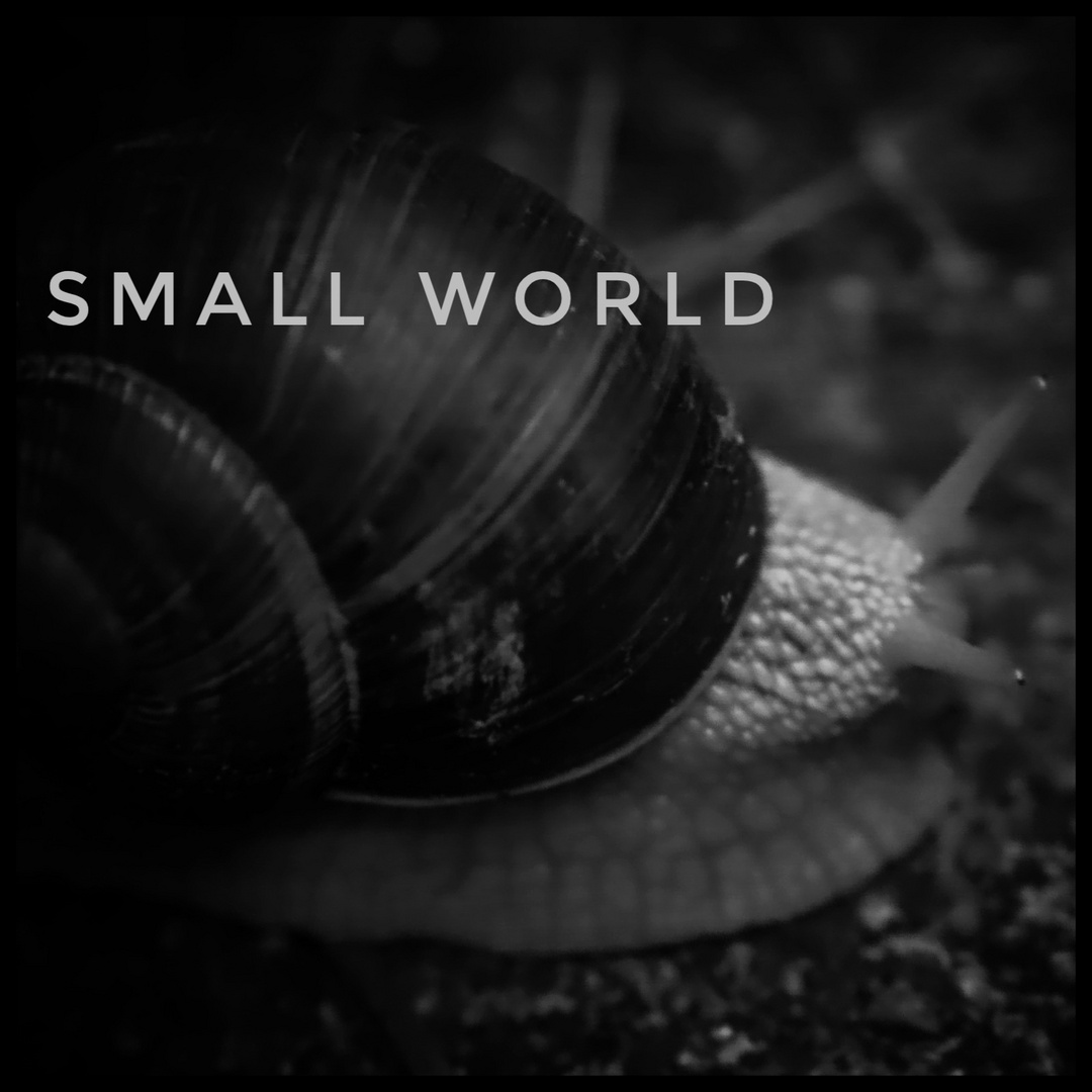 Small world 