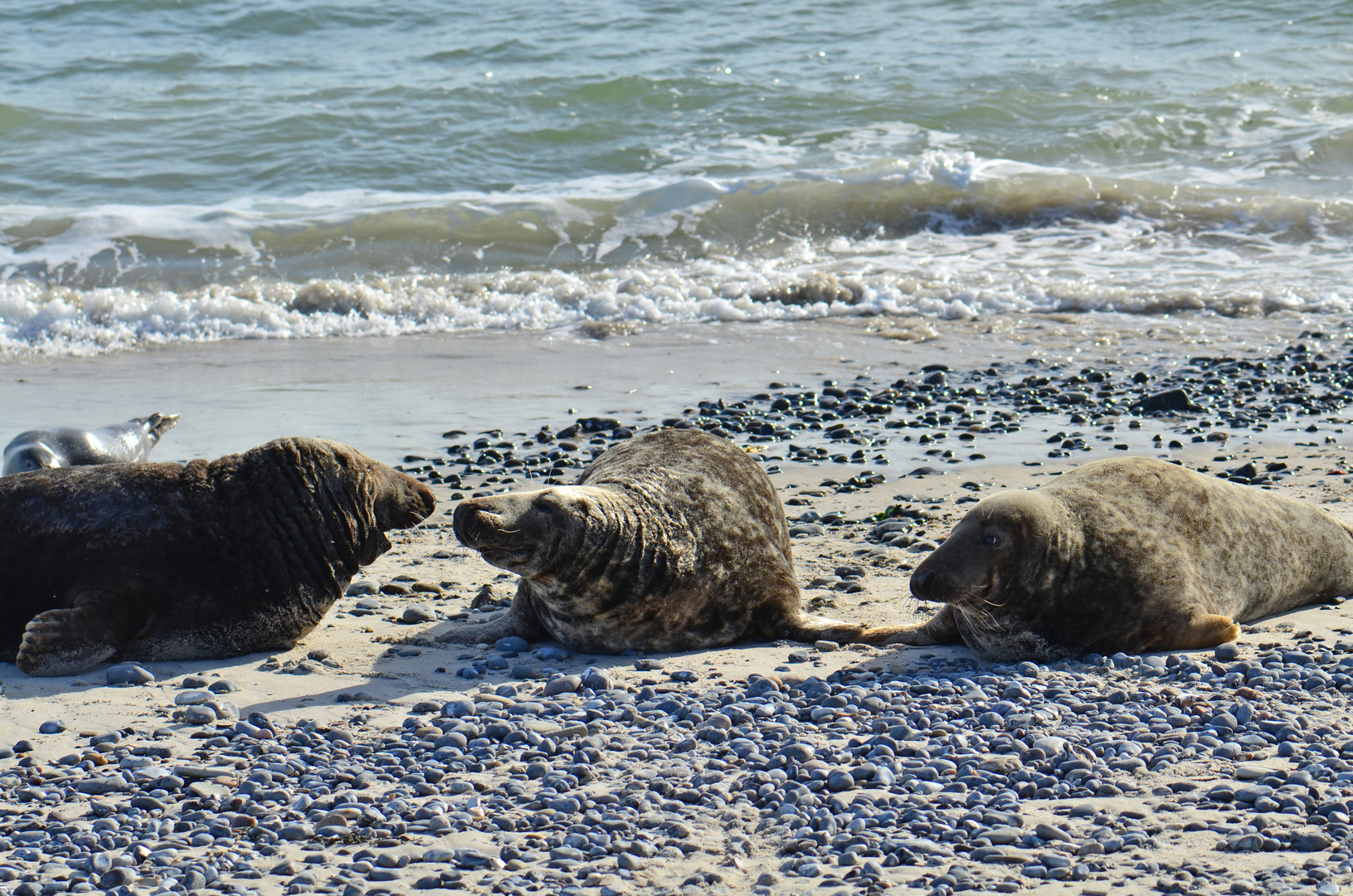 Smalltalk am Badestrand