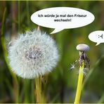 Smalltalk auf der Wiese