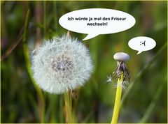 Smalltalk auf der Wiese