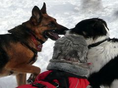 Smaltalk im Schnee