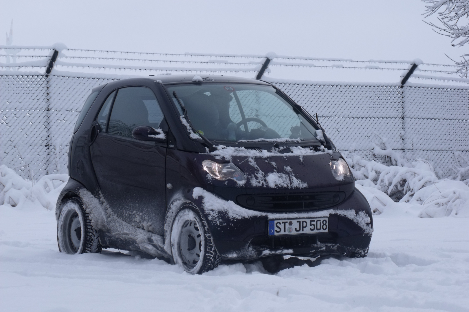 Smart im Schnee 2