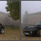 Smart Roadster 3D Kreuzblick