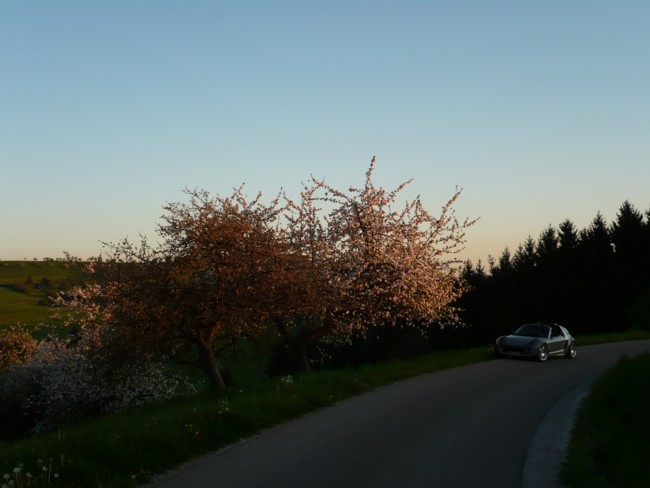 Smart Roadster Coupe Frühling 2008