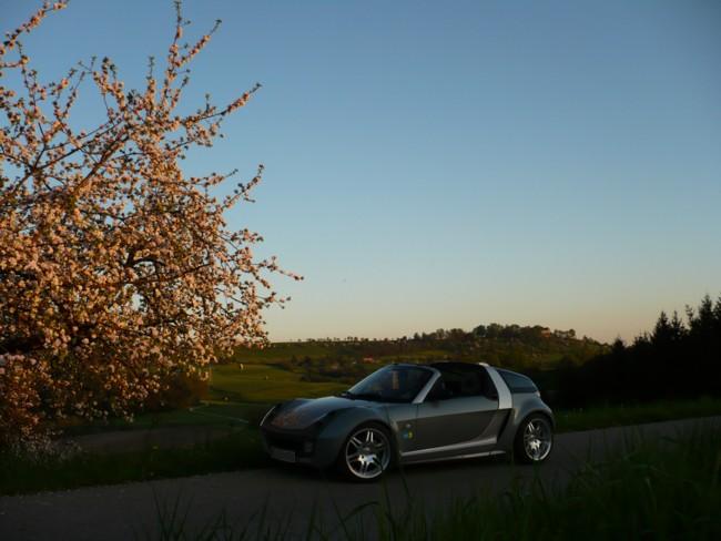 Smart Roadster Coupe Spring