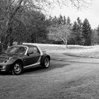 Smart Roadster