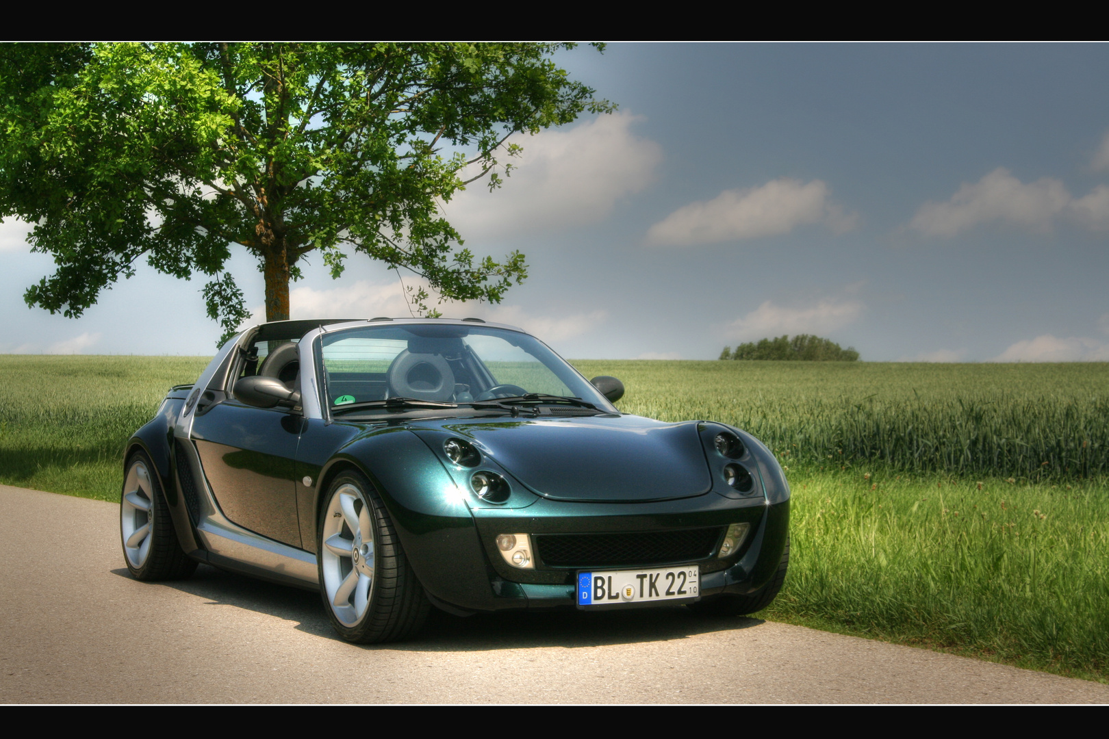 Smart Roadster - Landstrasse - Baum_bea Kopie