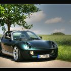 Smart Roadster - Landstrasse - Baum_bea Kopie