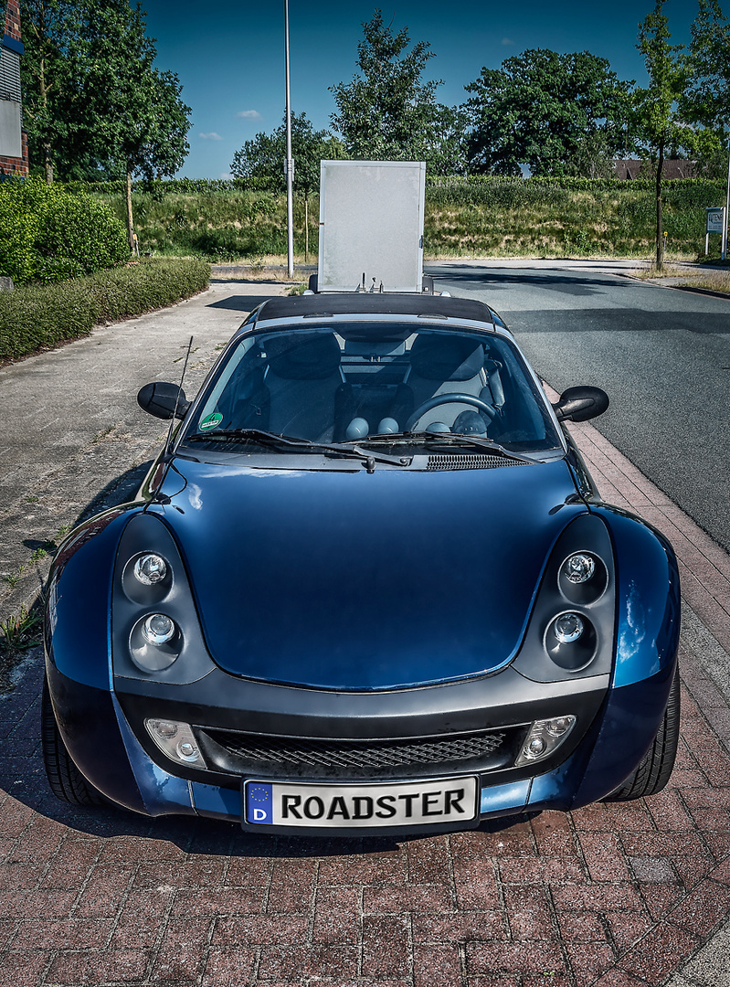 Smart Roadster Top