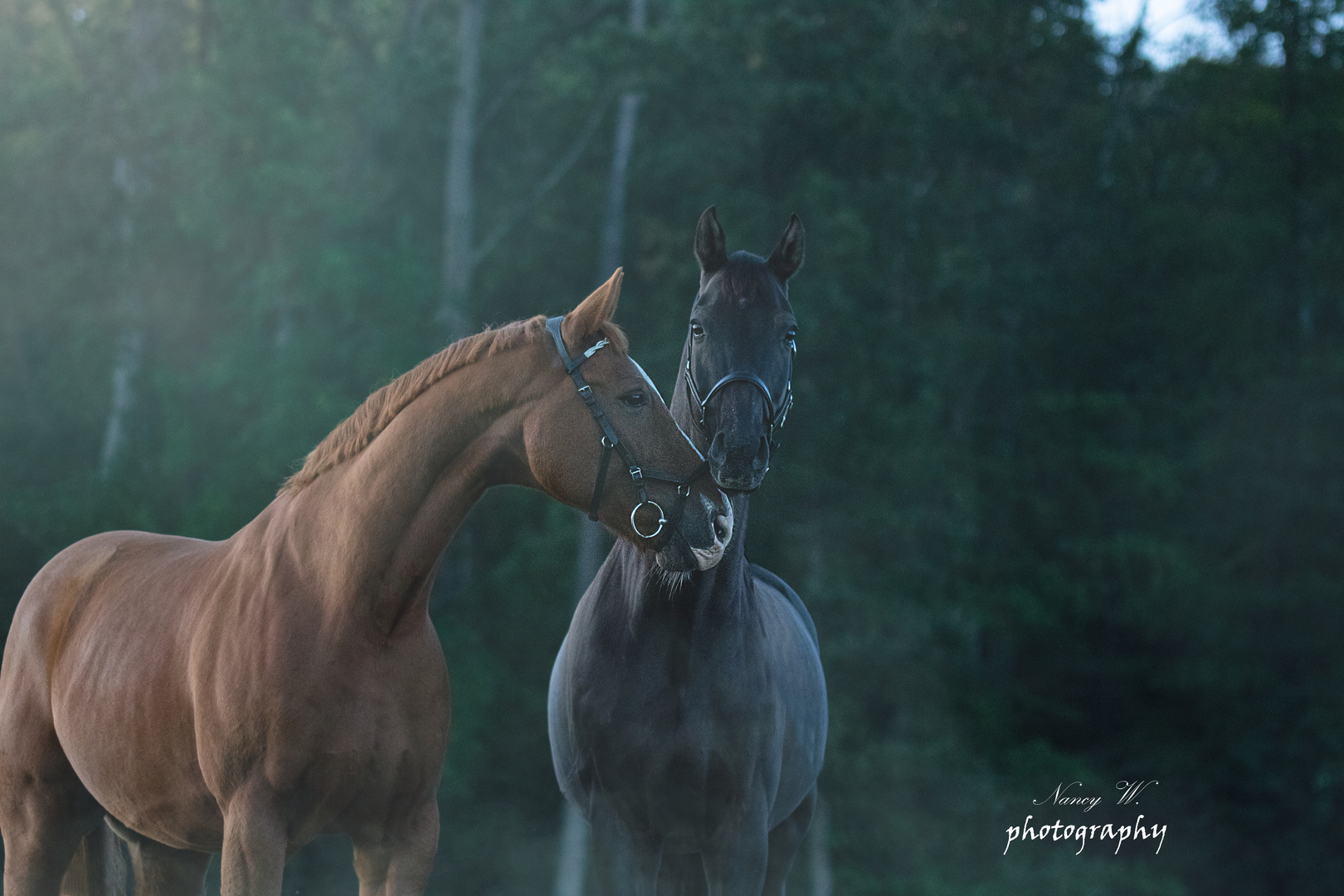 Smartie und Poly