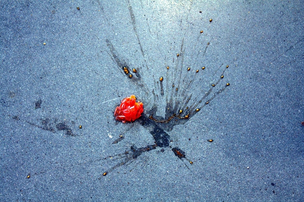 Smashed Tomatoe