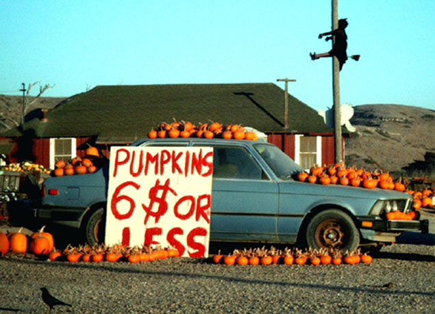 Smashin' Pumpkins...